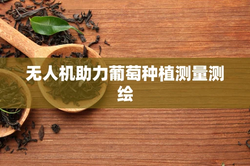 无人机助力葡萄种植测量测绘