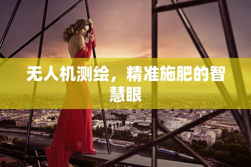 无人机测绘，精准施肥的智慧眼