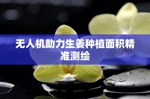 无人机助力生姜种植面积精准测绘