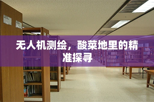 无人机测绘，酸菜地里的精准探寻