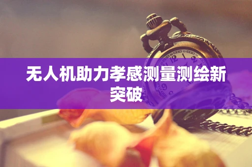 无人机助力孝感测量测绘新突破