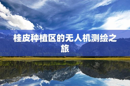 桂皮种植区的无人机测绘之旅