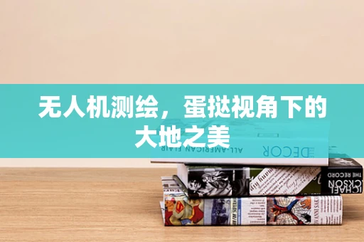 无人机测绘，蛋挞视角下的大地之美