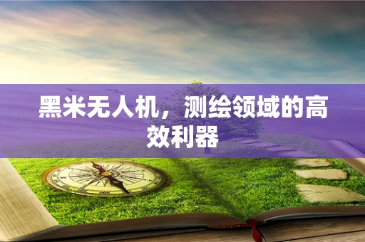 黑米无人机，测绘领域的高效利器