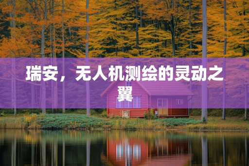 瑞安，无人机测绘的灵动之翼