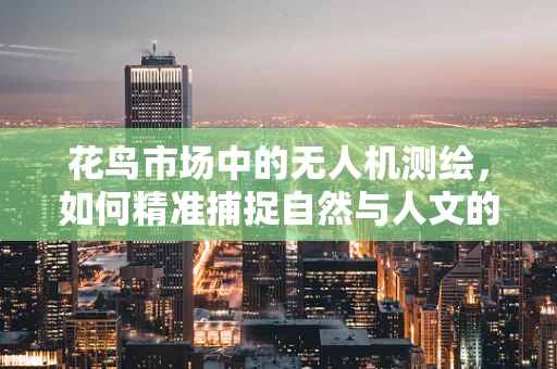 花鸟市场中的无人机测绘，如何精准捕捉自然与人文的和谐画卷？