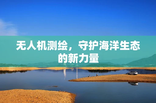 无人机测绘，守护海洋生态的新力量