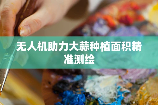 无人机助力大蒜种植面积精准测绘