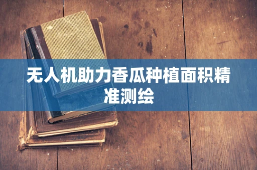 无人机助力香瓜种植面积精准测绘