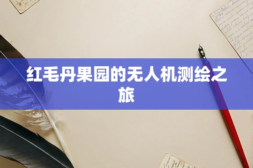 红毛丹果园的无人机测绘之旅