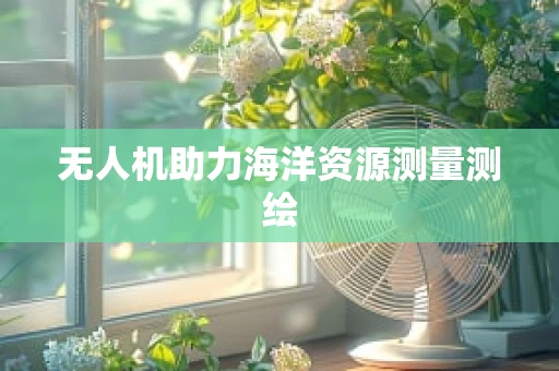 无人机助力海洋资源测量测绘