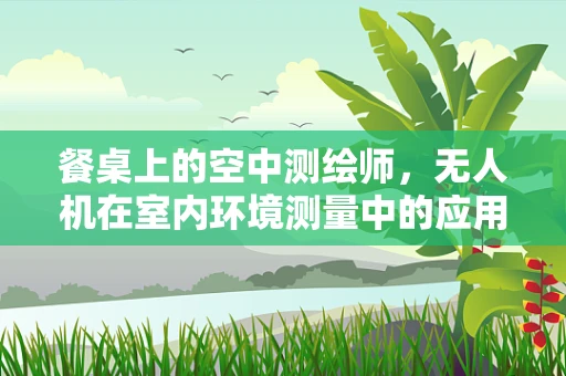 餐桌上的空中测绘师，无人机在室内环境测量中的应用挑战与解决方案