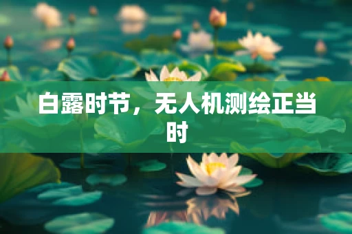 白露时节，无人机测绘正当时
