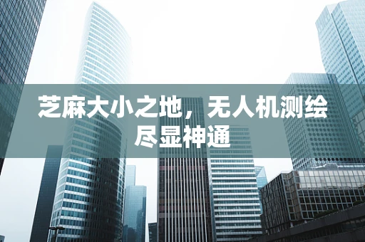 芝麻大小之地，无人机测绘尽显神通