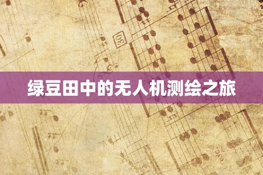 绿豆田中的无人机测绘之旅