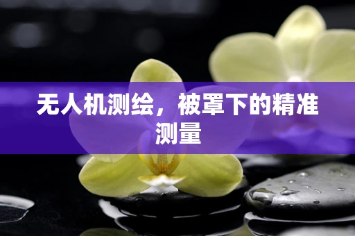 无人机测绘，被罩下的精准测量