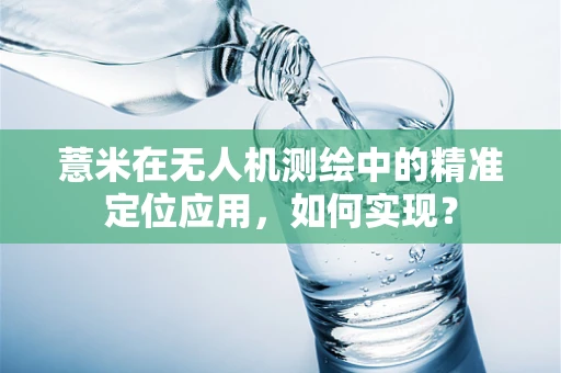 薏米在无人机测绘中的精准定位应用，如何实现？