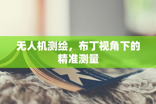 无人机测绘，布丁视角下的精准测量