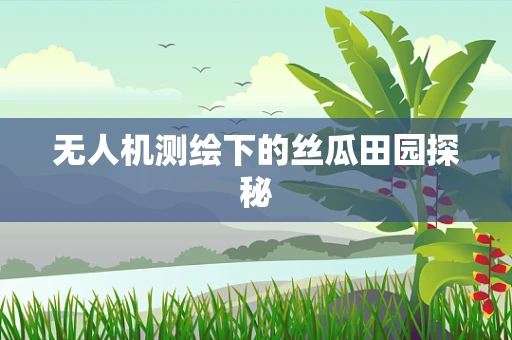 无人机测绘下的丝瓜田园探秘