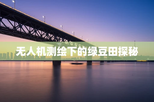 无人机测绘下的绿豆田探秘