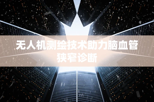 无人机测绘技术助力脑血管狭窄诊断
