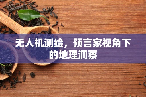 无人机测绘，预言家视角下的地理洞察