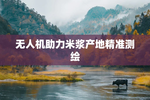 无人机助力米浆产地精准测绘