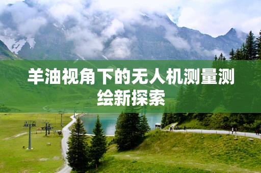 羊油视角下的无人机测量测绘新探索
