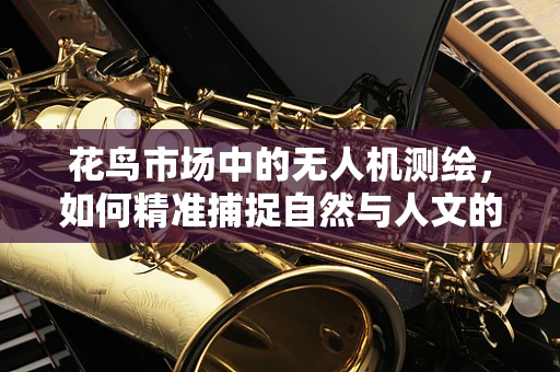 花鸟市场中的无人机测绘，如何精准捕捉自然与人文的和谐之美？