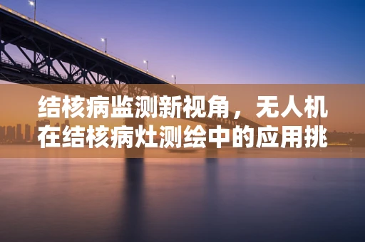 结核病监测新视角，无人机在结核病灶测绘中的应用挑战是什么？