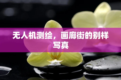 无人机测绘，画廊街的别样写真