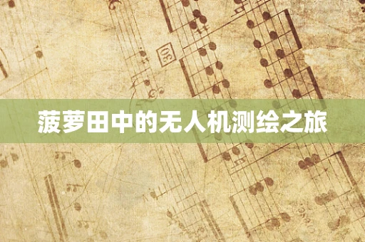 菠萝田中的无人机测绘之旅