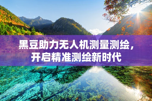 黑豆助力无人机测量测绘，开启精准测绘新时代