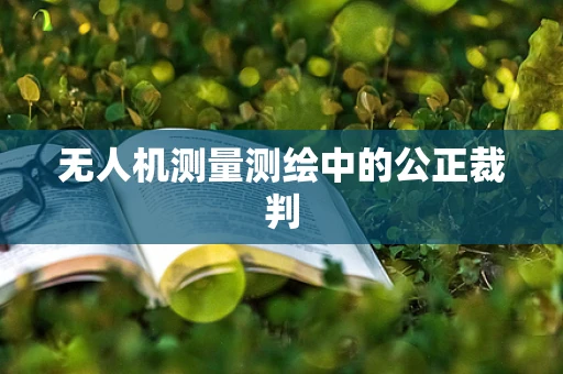 无人机测量测绘中的公正裁判