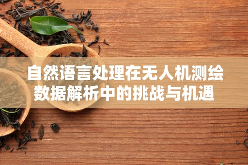 自然语言处理在无人机测绘数据解析中的挑战与机遇