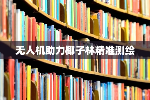 无人机助力椰子林精准测绘