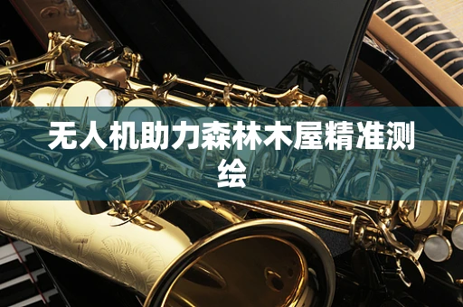 无人机助力森林木屋精准测绘