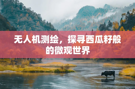 无人机测绘，探寻西瓜籽般的微观世界