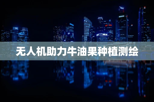 无人机助力牛油果种植测绘