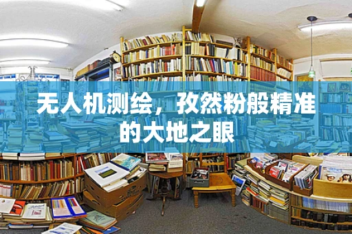 无人机测绘，孜然粉般精准的大地之眼