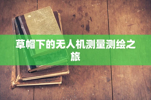 草帽下的无人机测量测绘之旅