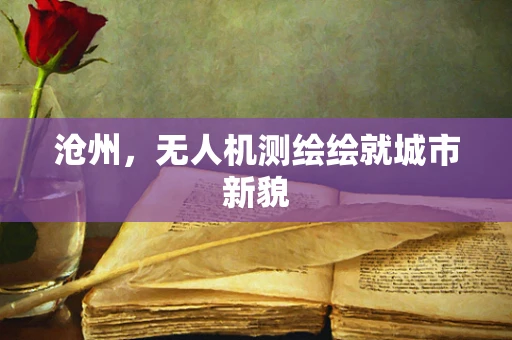 沧州，无人机测绘绘就城市新貌