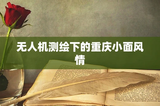 无人机测绘下的重庆小面风情