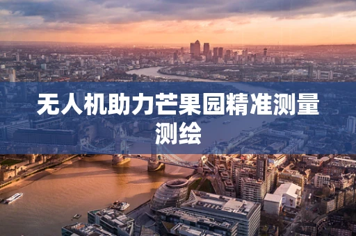 无人机助力芒果园精准测量测绘