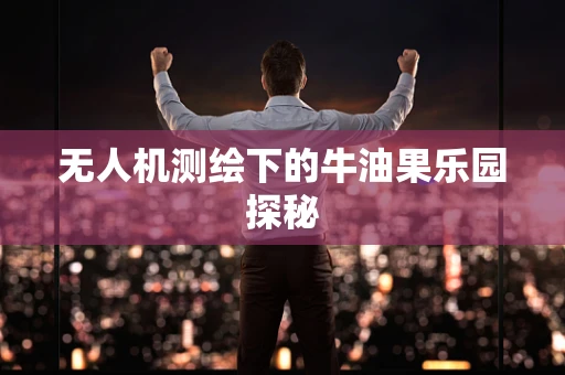无人机测绘下的牛油果乐园探秘