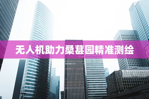 无人机助力桑葚园精准测绘