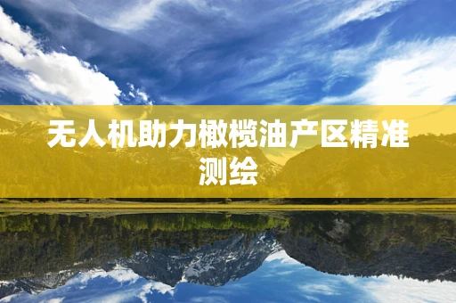 无人机助力橄榄油产区精准测绘