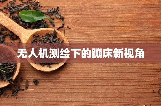 无人机测绘下的蹦床新视角