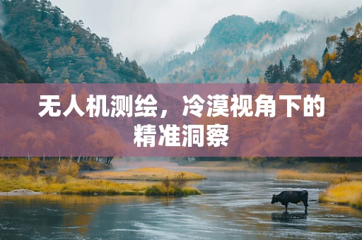 无人机测绘，冷漠视角下的精准洞察