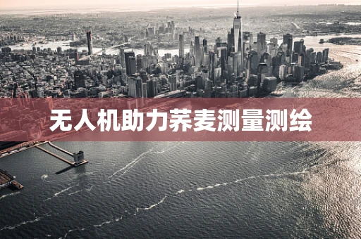 无人机助力荞麦测量测绘